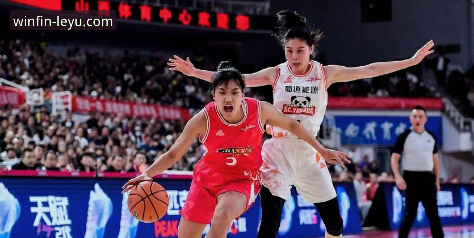 WCBA总决赛首战创纪录，四川女篮如何实现从0胜到碾压式翻盘？